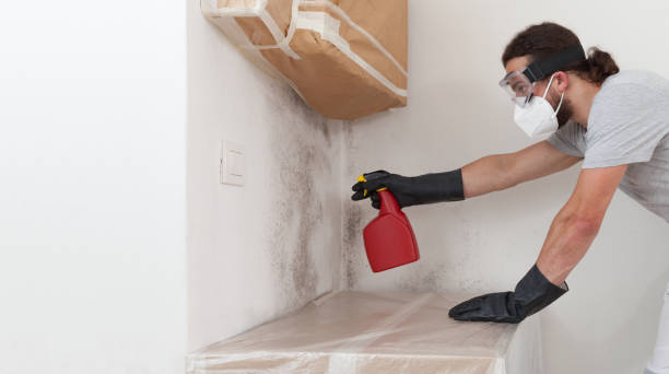 Professional Basement Mold Removal technician working in Snow Shoe, PA